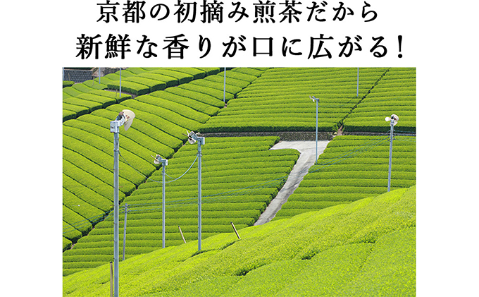 桜皮茶筒と最高峰煎茶と玉露のセット 宇治茶の木谷製茶場