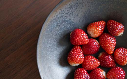 使うほどに趣きが増す ラスター釉 鉢 1点 potter 佐藤みどり 富山県 立山町 F6T-107