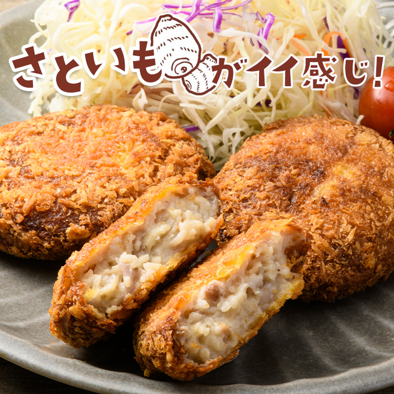 立山コロッケ プレーン 64g×5個×4パック 農事組合法人いこいの杜 富山県 立山町 お歳暮 お中元 F6T-167