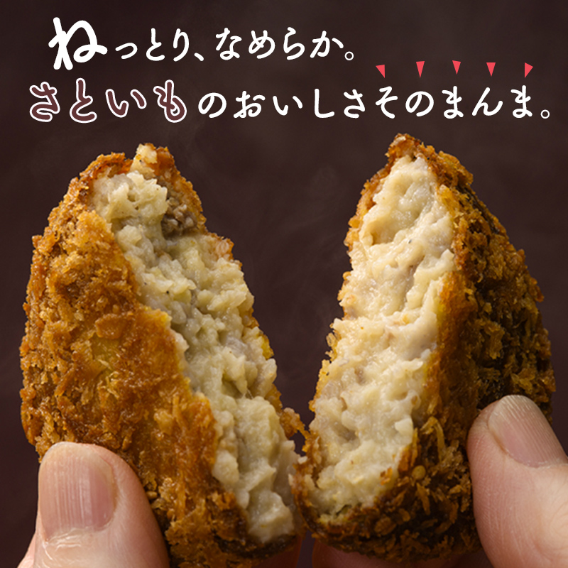 立山コロッケ プレーン 64g×5個×4パック 農事組合法人いこいの杜 富山県 立山町 お歳暮 お中元 F6T-167