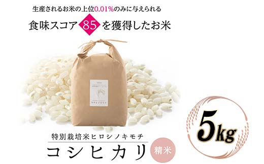 ≪先行予約≫特別栽培米 コシヒカリ ヒロシノキモチ 精米 5kg 陽咲玲 米 お米 コメ 白米 ご飯 ごはん 富山県産 富山県 立山町 F6T-807