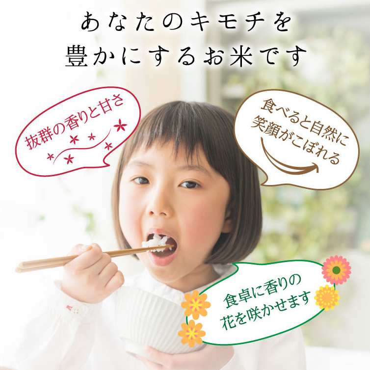 ≪先行予約≫特別栽培米 コシヒカリ ヒロシノキモチ 精米 5kg 陽咲玲 米 お米 コメ 白米 ご飯 ごはん 富山県産 富山県 立山町 F6T-874