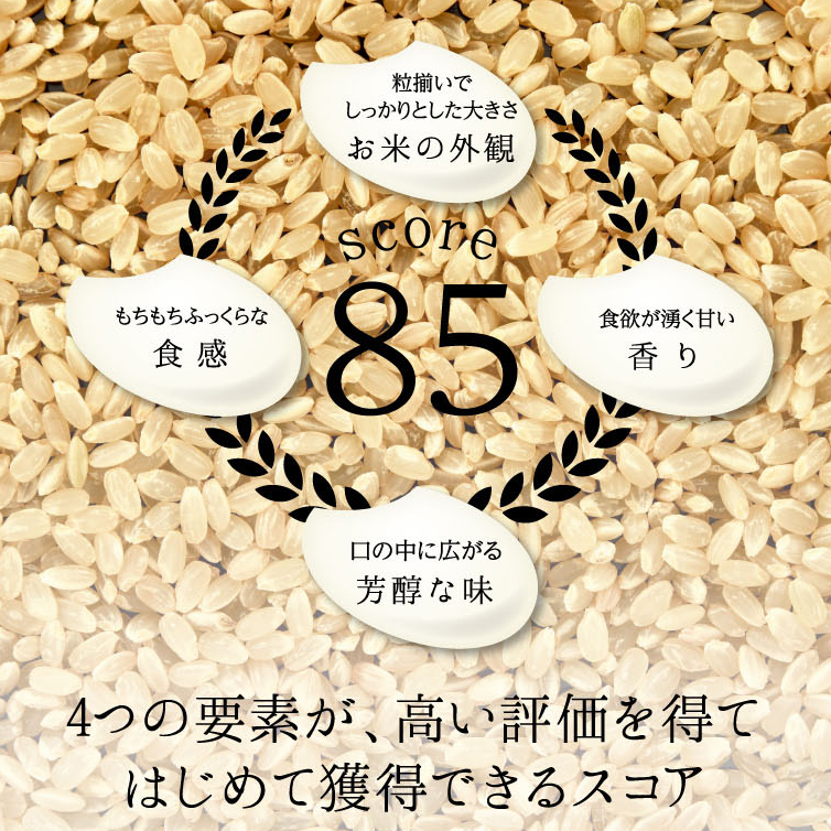 ≪先行予約≫特別栽培米 コシヒカリ ヒロシノキモチ 精米 5kg 陽咲玲 米 お米 コメ 白米 ご飯 ごはん 富山県産 富山県 立山町 F6T-874