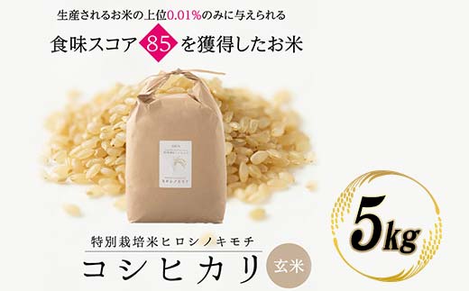 ≪先行予約≫特別栽培米 コシヒカリ ヒロシノキモチ 玄米 5kg 陽咲玲 米 お米 コメ ご飯 ごはん 富山県産 富山県 立山町 F6T-878