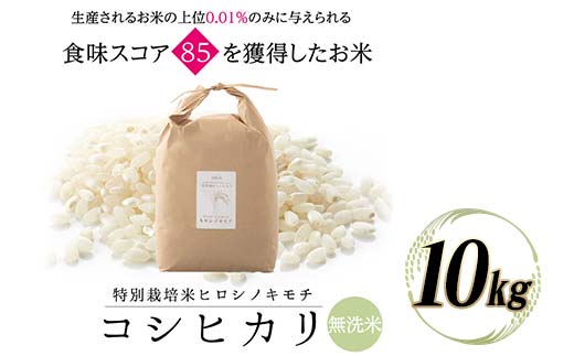≪先行予約≫特別栽培米 コシヒカリ ヒロシノキモチ 無洗米 10kg 陽咲玲 米 お米 コメ 白米 ご飯 ごはん 富山県産 富山県 立山町 F6T-810