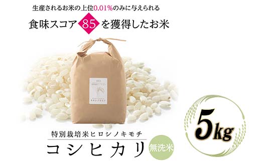 ≪先行予約≫特別栽培米 コシヒカリ ヒロシノキモチ 無洗米 5kg 陽咲玲 米 お米 コメ 白米 ご飯 ごはん 富山県産 富山県 立山町 F6T-809