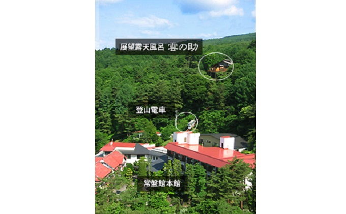 常盤館展望露天風呂　入浴券5枚 チケット 温泉利用券 