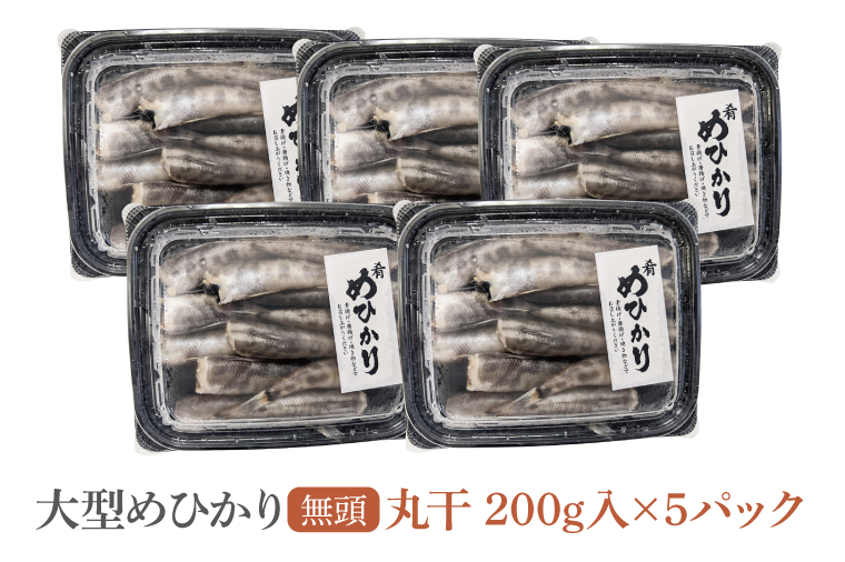 めひかり丸干5個セット(BH204)