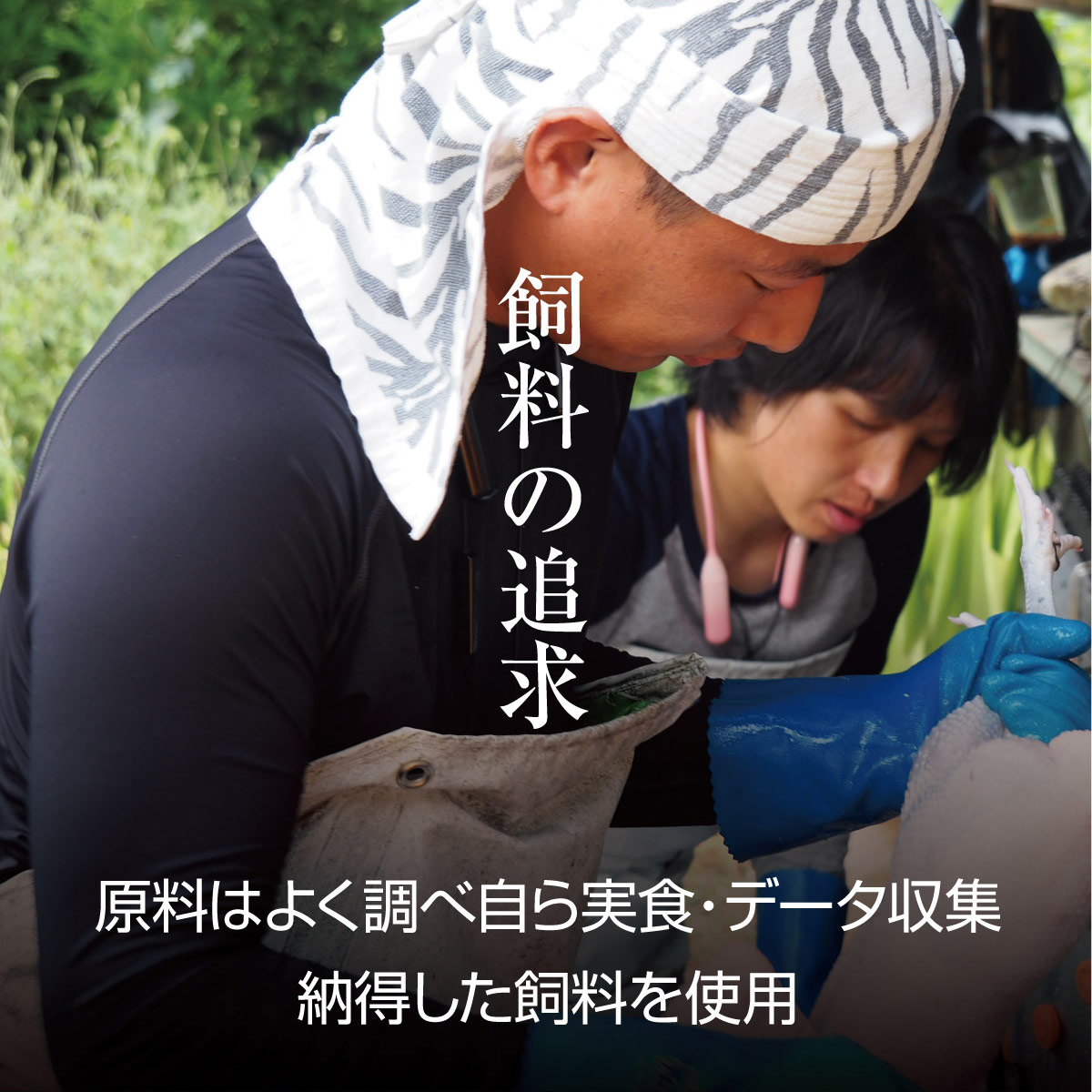 京都・ささ鳥　京美白どり　食べ比べ7種セット 