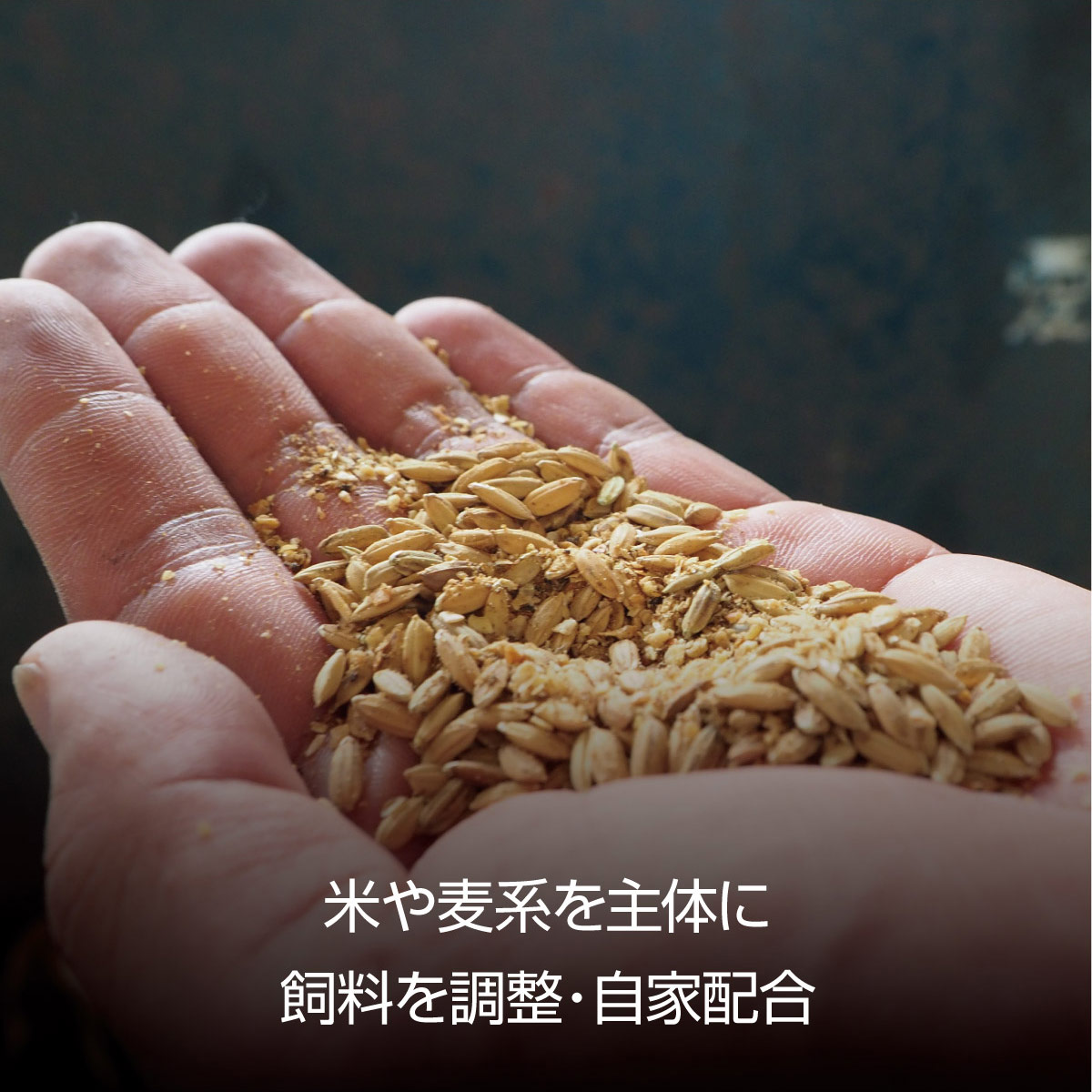 ささ鳥 京美白どり 1kg 簡単調理 セット 詰め合わせ 鶏 鶏肉 鳥肉 お肉 肉 スライス 鶏もも肉 鶏むね肉 もも肉 むね肉 もも むね 京都 京都府 南丹市