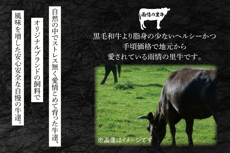 雨情の里牛ローススライス700ｇ「焼き肉用」【ブランド牛 牛肉 お肉 やきにく 焼肉】(BL203)