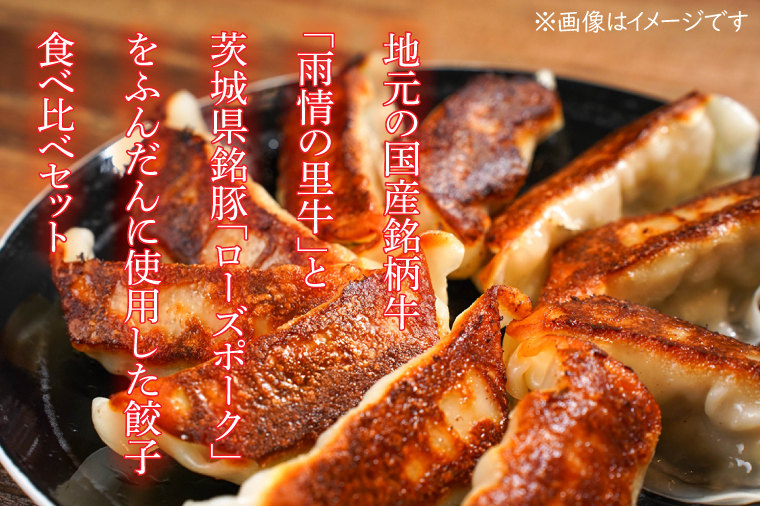 雨情の里牛・ローズポーク餃子セット【国産 ブランド牛 ぎょうざ ギョウザ 食べ比べ】(BL208)