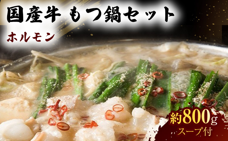 【熊本県錦町】国産 牛 もつ鍋 セット 約800g モツ鍋 鍋セット 肉 お肉 牛肉 ※配送不可:離島