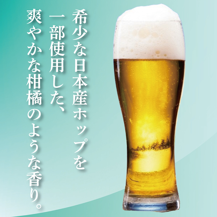キリンビール取手工場産 スプリングバレージャパンエール〈香〉350ml缶-24本×2ケース|KIRIN 麒麟 ビール クラフトビール SPRING VALLEY BREWERY 茨城県 取手市（AB076-1）