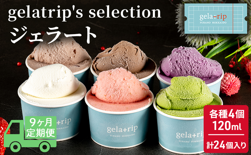 gelatrip's selection ジェラート12個 BOX 北海道 上富良野町 アイス