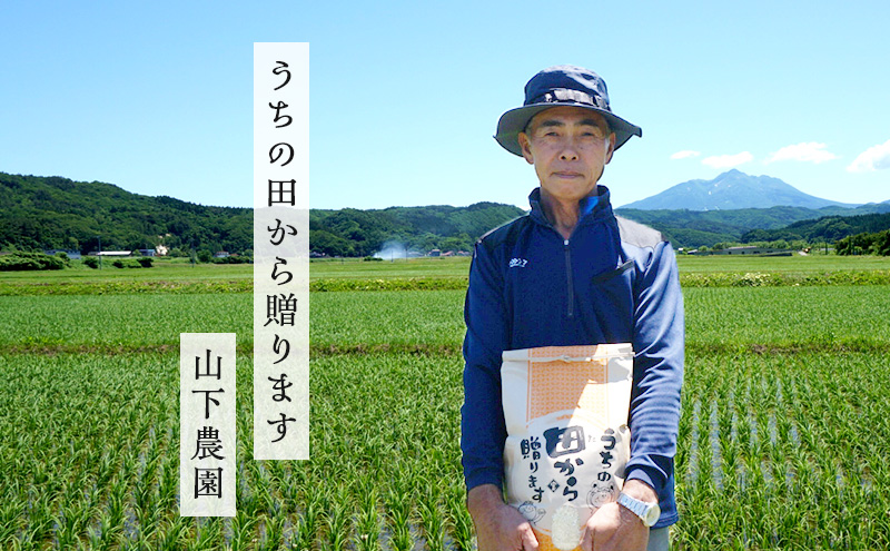 米 令和7年産 まっしぐら 玄米 10kg (5kg×2袋) こめ お米 おこめ コメ ご飯 ごはん 令和7年  山下農園 青森 青森県 鯵ヶ沢町 