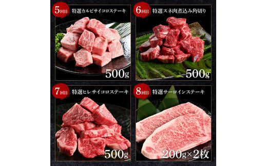 ＜8ヶ月定期便＞土佐あか牛協会が認定する「土佐熟成あかうし」詰め合わせ8種（合計3.3kg）サイコロステーキ ロース カルビ スネ ヒレ サーロイン ブロック肉 特選 赤身 牛 牛肉 和牛 国産 天下味 エイジング工法 熟成肉