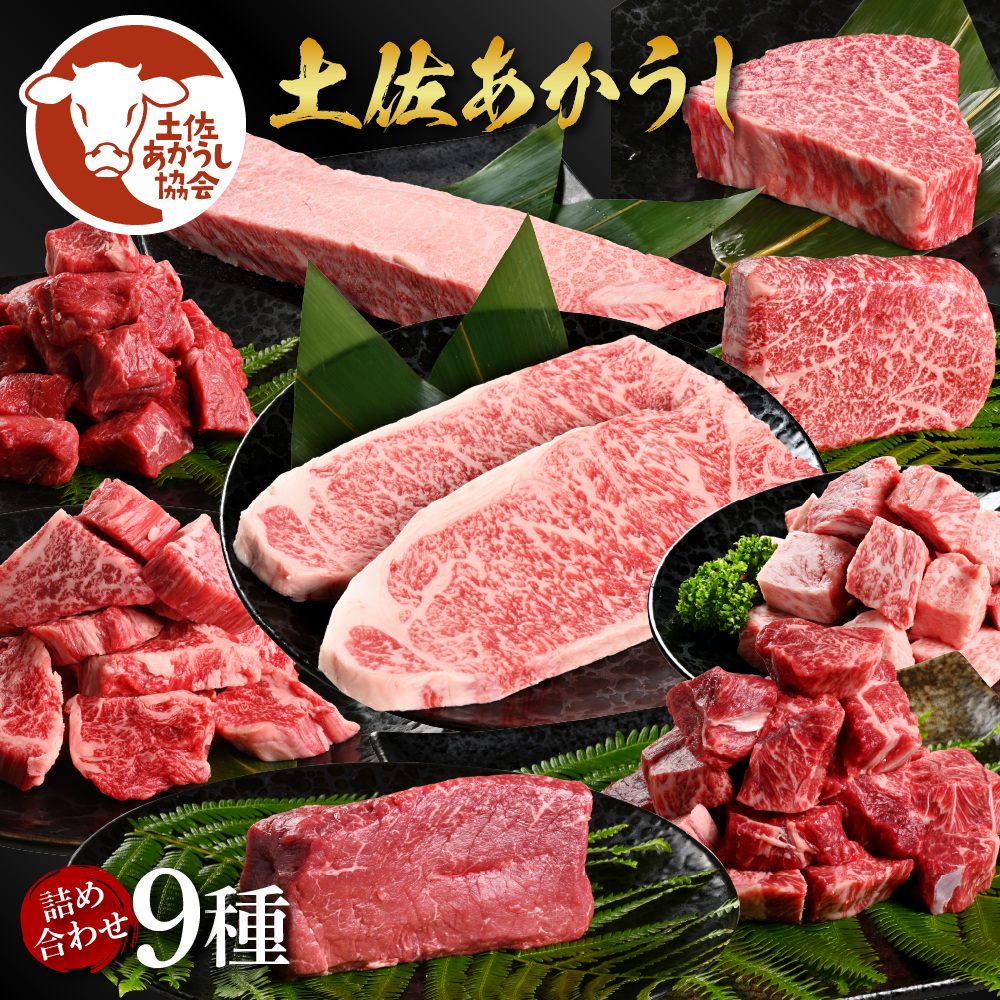 土佐あか牛協会が認定する「土佐熟成あかうし」詰め合わせ9種（合計6.6kg）サイコロステーキ ロース カルビ スネ ヒレ シャトーブリアン サーロイン ブロック肉 特選 赤身 牛 牛肉 和牛 国産 天下味 エイジング工法 熟成肉