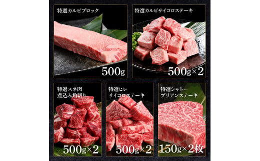 土佐あか牛協会が認定する「土佐熟成あかうし」詰め合わせ9種（合計6.6kg）サイコロステーキ ロース カルビ スネ ヒレ シャトーブリアン サーロイン ブロック肉 特選 赤身 牛 牛肉 和牛 国産 天下味 エイジング工法 熟成肉