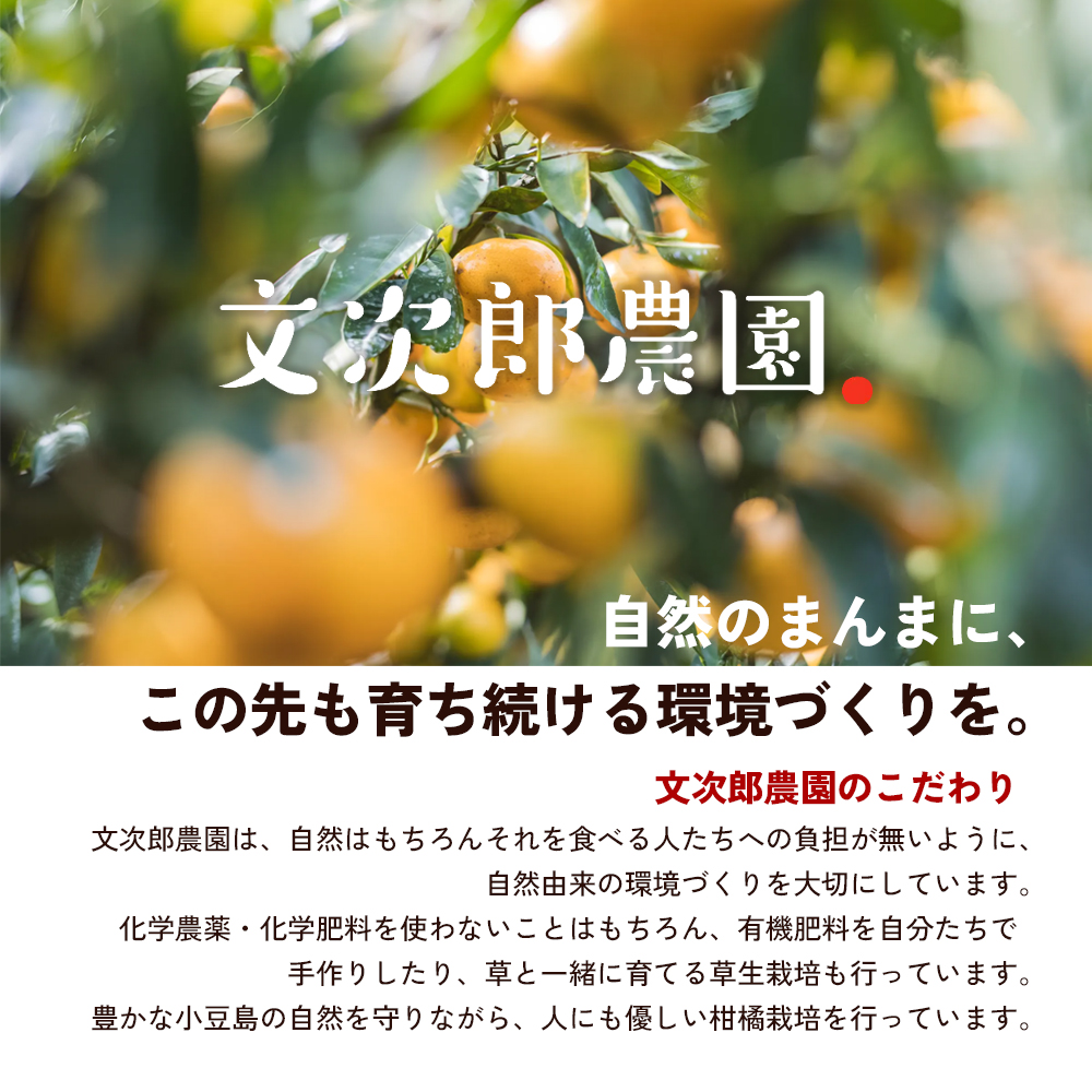 【 小豆島 】文次郎農園 早摘み檸檬胡椒＆摘果実蜜柑胡椒 調味料 胡椒 レモン 檸檬 みかん 蜜柑 ミカン 柑橘  爽やか ピリ辛 ギフト 贈り物 香川 香川県 土庄 土庄町