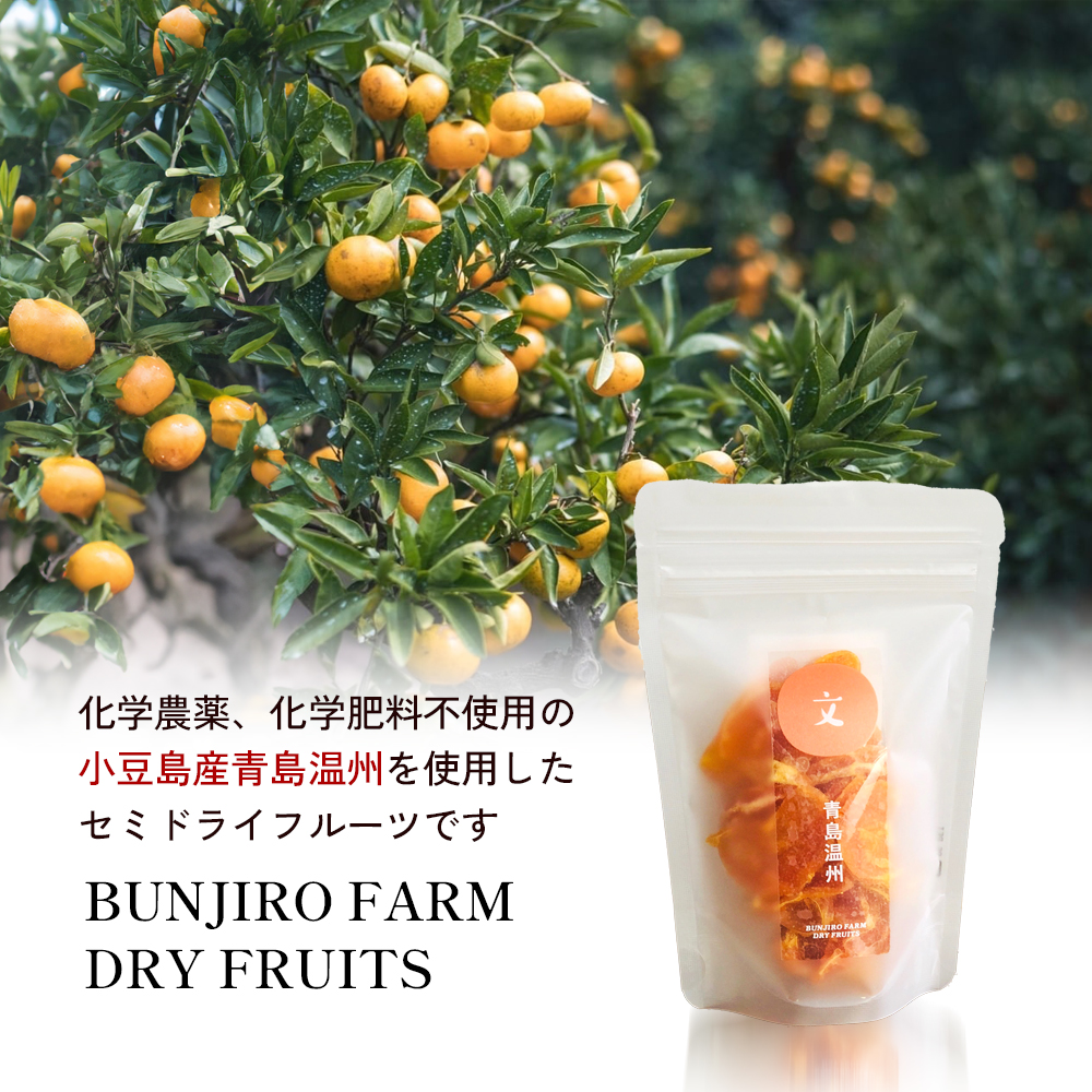 【 小豆島 】文次郎農園のセミドライ みかん 3袋セット 柑橘 蜜柑 ミカン セミ ドライフルーツ 乾燥 ドライ 果物 軽食 おやつ デザート 香川 香川県 土庄 土庄町