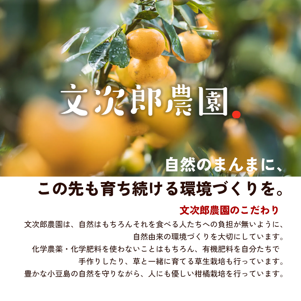 【 小豆島 】文次郎農園のセミドライ みかん 3袋セット 柑橘 蜜柑 ミカン セミ ドライフルーツ 乾燥 ドライ 果物 軽食 おやつ デザート 香川 香川県 土庄 土庄町