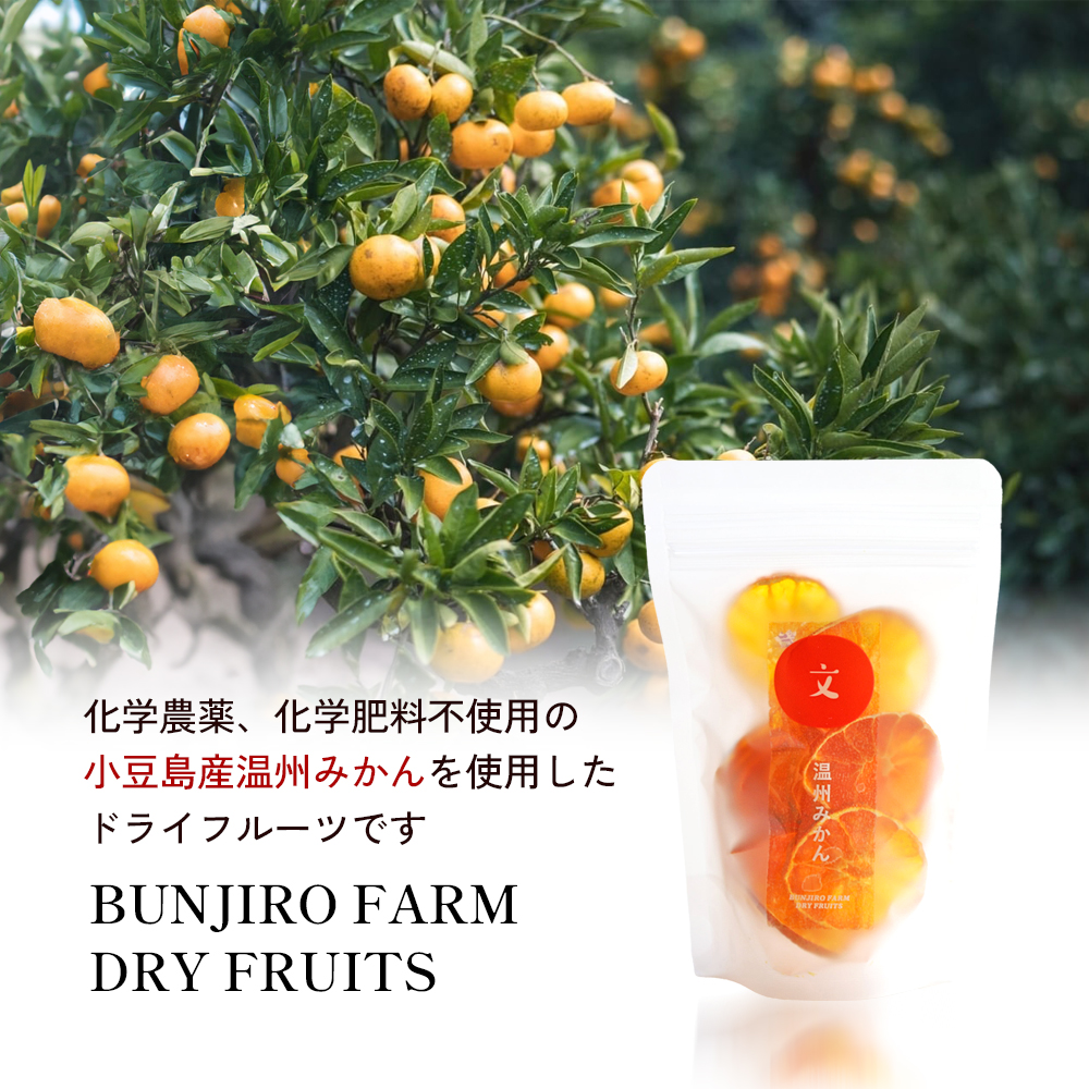 【 小豆島 】文次郎農園のドライフルーツ 3袋セット 柑橘 蜜柑 ミカン セミ ドライフルーツ 乾燥 ドライ 果物 軽食 おやつ デザート 香川 香川県 土庄 土庄町