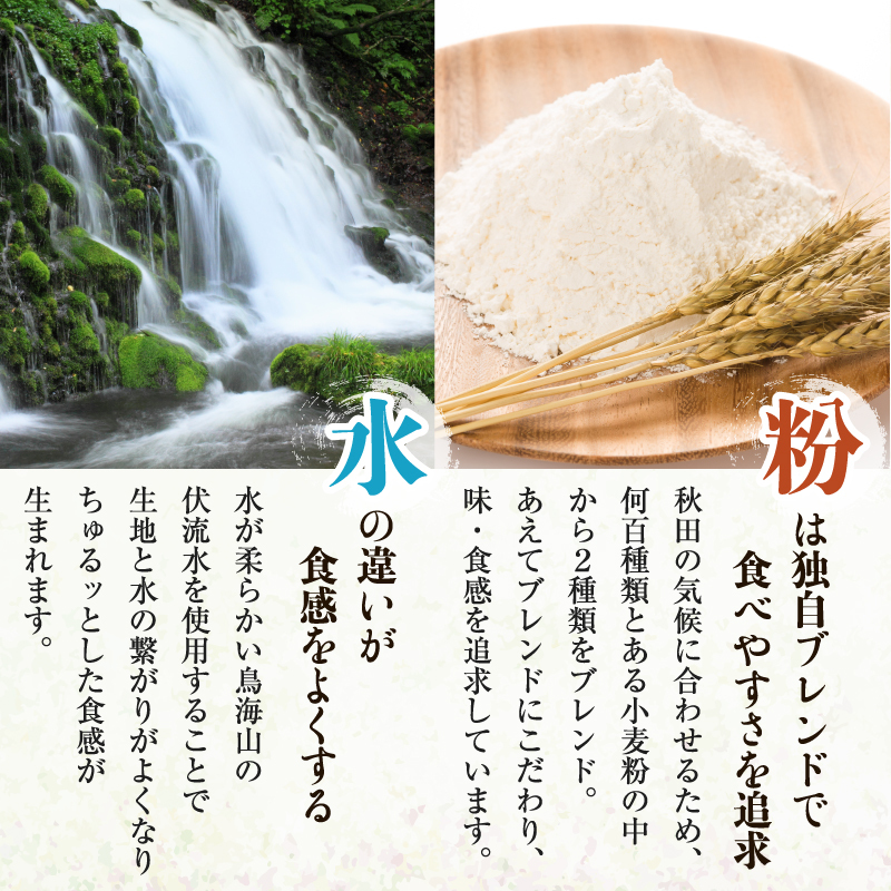 喉越しの良い象潟うどんとひやむぎセット(各5束合計10束 20人前 乾麺） 麺類 冷や麦 冷麦 大量 長期保存 