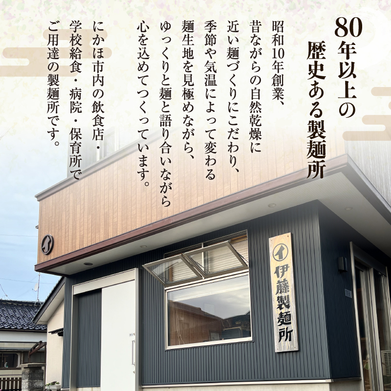 喉越しの良い象潟うどんとひやむぎセット(各5束合計10束 20人前 乾麺） 麺類 冷や麦 冷麦 大量 長期保存 