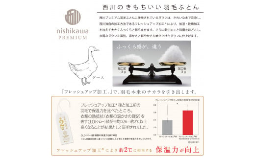 【nishikawa/西川】羽毛肌掛けふとん/ポーランドホワイトグース90％/0.3kg【P310W】