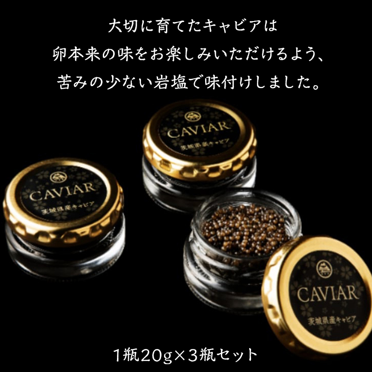 キャビアアソートセット（キャビア3点セット） 新品未使用〉キャビアアソートセット（3点セット）