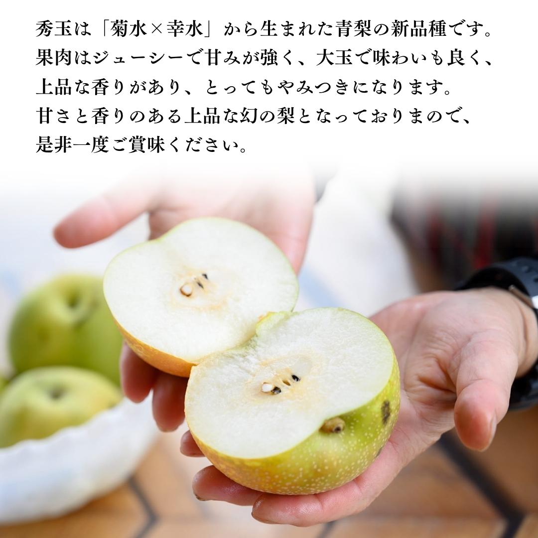 茨城県桜川市のふるさと納税 【2025年9月上旬発送開始】茨城県産 『幻の 梨 』 秀玉 約 3kg 6玉 ～ 9玉 【茨城県共通返礼品／常陸太田市】桧山果樹園 農家直送 桧山果樹園 農家直送 フルーツ  甘い 直送 茨城 限定 ギフト 梨 秀玉 しゅうぎょく 果物 [DU005sa]