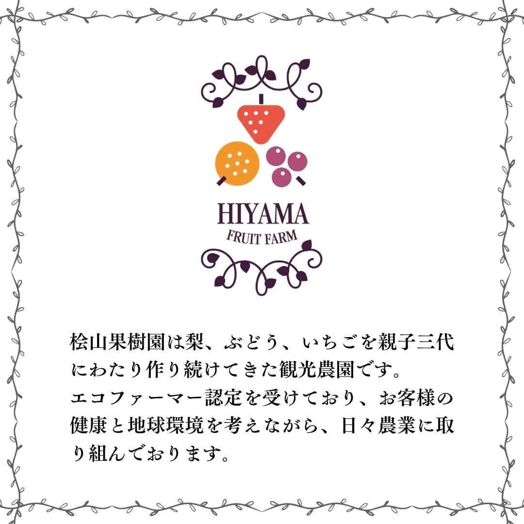 茨城県桜川市のふるさと納税 【2025年9月上旬発送開始】茨城県産 『幻の 梨 』 秀玉 約 3kg 6玉 ～ 9玉 【茨城県共通返礼品／常陸太田市】桧山果樹園 農家直送 桧山果樹園 農家直送 フルーツ  甘い 直送 茨城 限定 ギフト 梨 秀玉 しゅうぎょく 果物 [DU005sa]