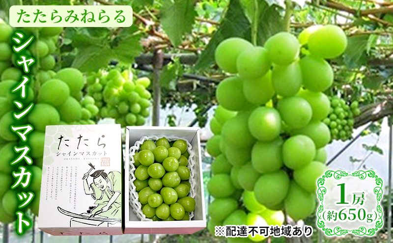 [2025年先行予約] ぶどう 岡山県産 たたらみねらる シャインマスカット 1房(約650g) [2025年8月下旬-10月下旬頃出荷] 葡萄 ブドウ フルーツ 果物 スイーツ 数量限定 期間限定 岡山 里庄町