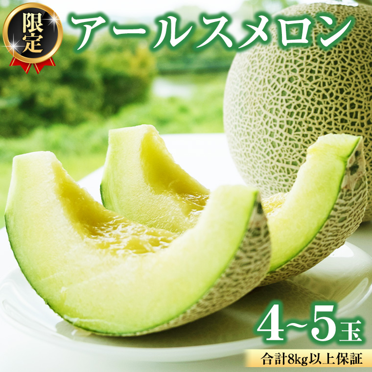 果物 フルーツ メロン アールスメロン 青肉 8kg アールスメロン 青肉