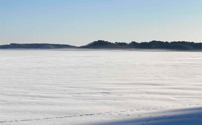 北海道 厚岸産 丸干しコマイ 190g×4パック ソウルフード 魚貝類 干物 焼魚 おつまみ 冷凍 厚岸湖 天日干し 焼くだけ おかず 