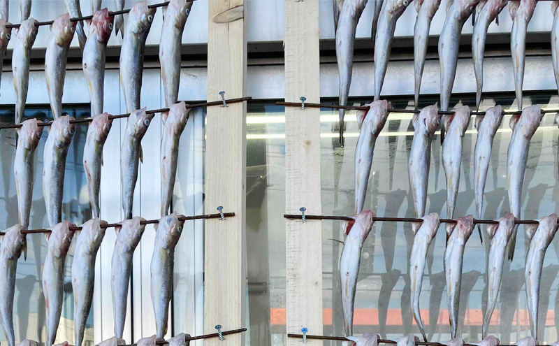 北海道 厚岸産 丸干しコマイ 190g×4パック ソウルフード 魚貝類 干物 焼魚 おつまみ 冷凍 厚岸湖 天日干し 焼くだけ おかず 