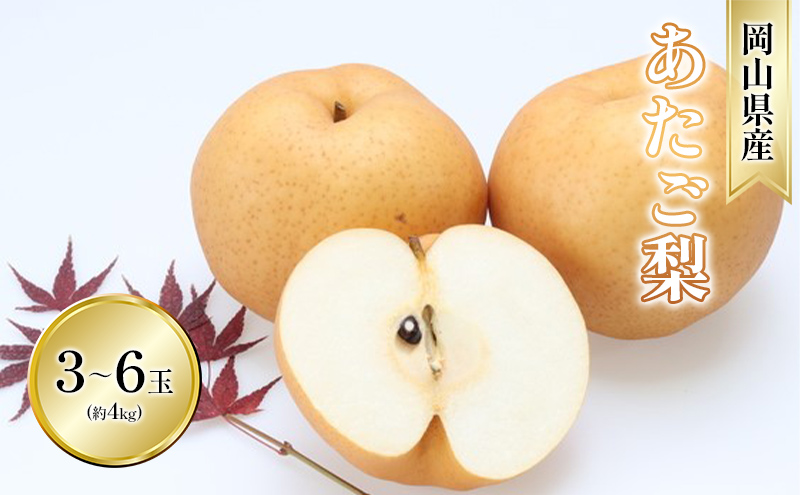 yRʖsz 2025N s\  3-6 Gȏ (4kg) ϔ