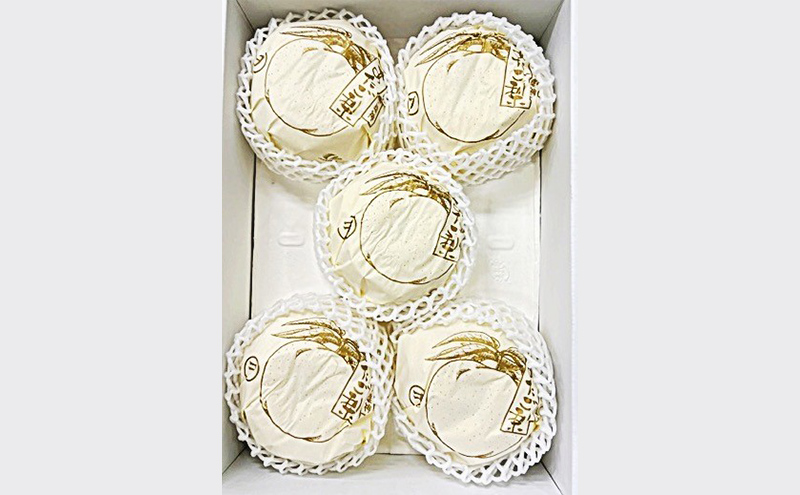 梨 2026年 先行予約 あたご梨 3-6玉 青秀以上 (約4kg) 化粧箱入り 