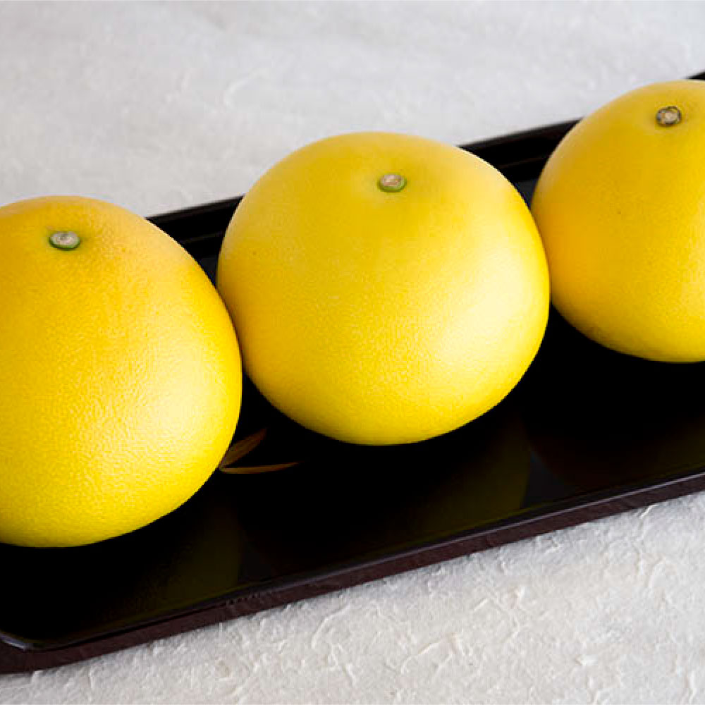 ＜先行予約 2026年2月上旬より順次発送＞高知県産土佐文旦家庭用小玉商品10kg