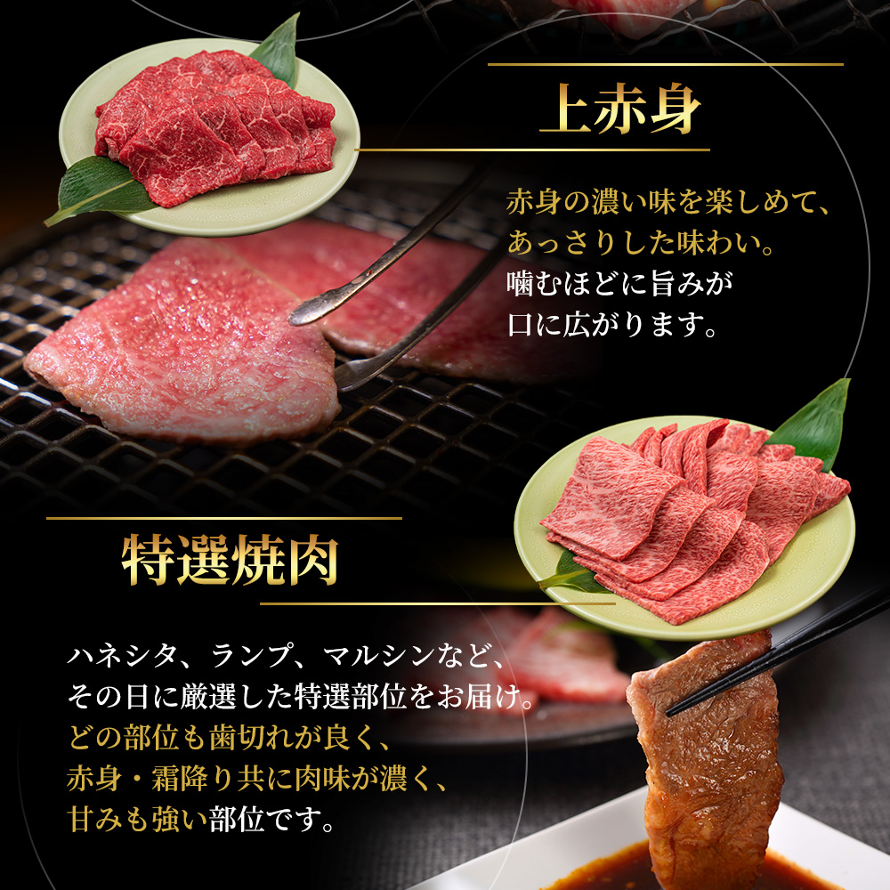 【最短7日以内発送】 神戸ビーフ 神戸牛 牝 極上焼肉 3種 食べ比べセット 計 900g 川岸畜産 焼肉 冷凍 肉 牛肉 すぐ届く お肉 和牛 食材 グルメ ブランド牛 日本産 国産 夕飯 晩御飯 夜ごはん 