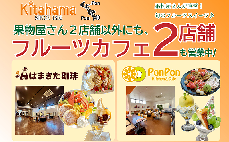 香川県綾川町のふるさと納税 【12月限定価格！！】【12ヶ月連続定期便】綾川町の春夏秋冬！旬果実の単品定期便