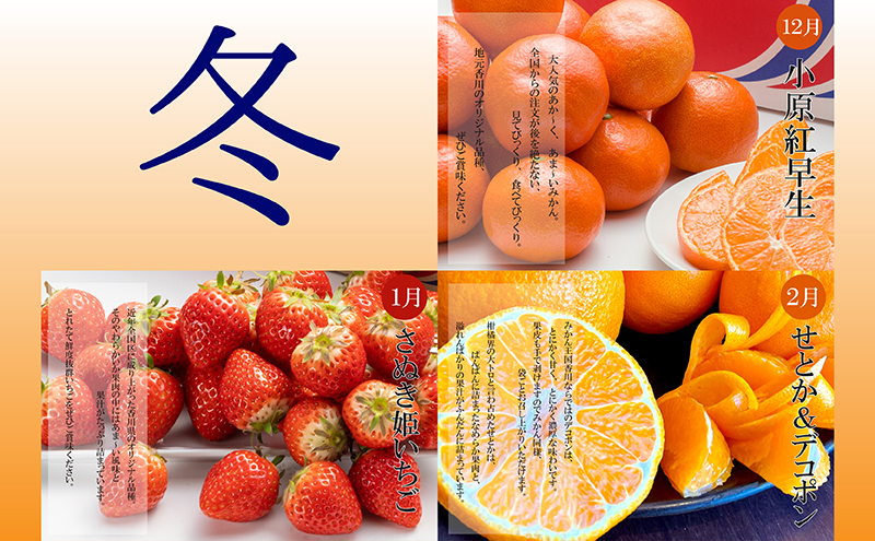 香川県綾川町のふるさと納税 【全3回】冬のいいとこどり定期便（12・1・2月発送）