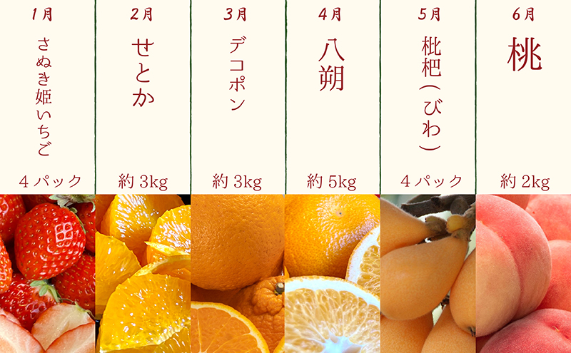 香川県綾川町のふるさと納税 【12月限定価格！！】【12ヶ月連続定期便】綾川町の春夏秋冬！旬果実の単品定期便