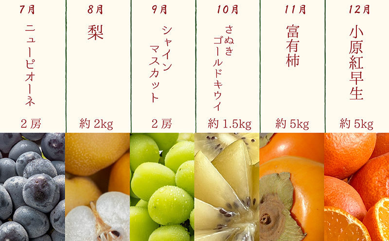 香川県綾川町のふるさと納税 【12月限定価格！！】【12ヶ月連続定期便】綾川町の春夏秋冬！旬果実の単品定期便