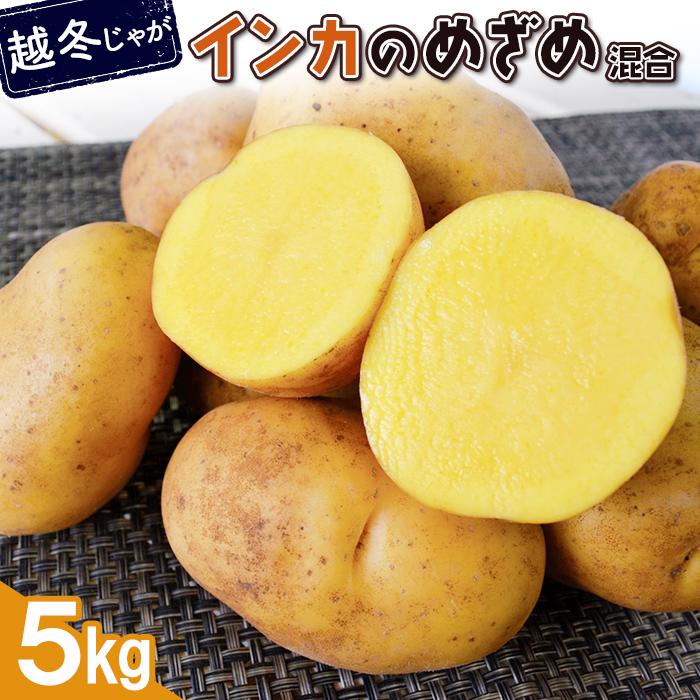 【越冬じゃが】インカのめざめ混合5kg【8