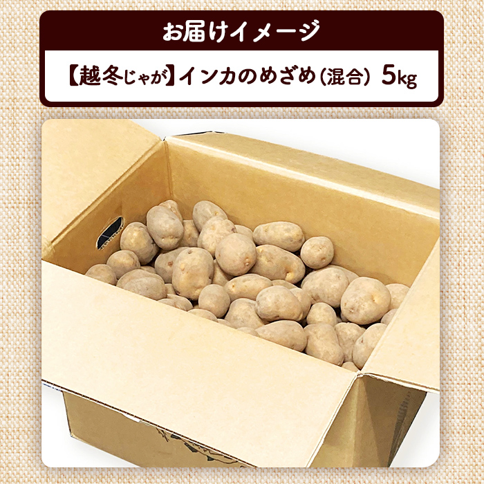 北海道恵庭市のふるさと納税 【越冬じゃが】インカのめざめ混合5kg【83001203】