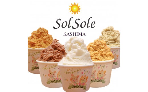【茨城県鹿嶋市】Sol soleのジェラート6種 6個入り 無添加 ジェラート スイーツ デザート 鹿嶋市 アイス 送料無料(KBM-1)