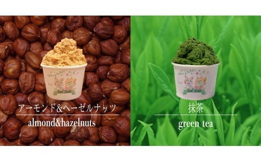 Sol soleのジェラート9種 9個入り 無添加　ジェラート スイーツ デザート 鹿嶋市　アイス 送料無料（KBM-2）