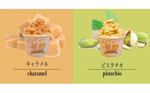 Sol soleのジェラート選べる12個入り お好みセット　無添加　ジェラート スイーツ デザート 鹿嶋市　アイス 送料無料（KBM-3）